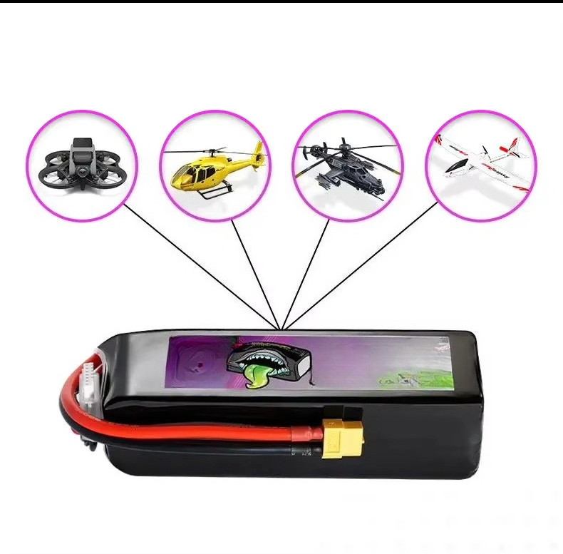 Lipo Battery 6S - Batteria Lipo Ovonic Rebel 110C 6S