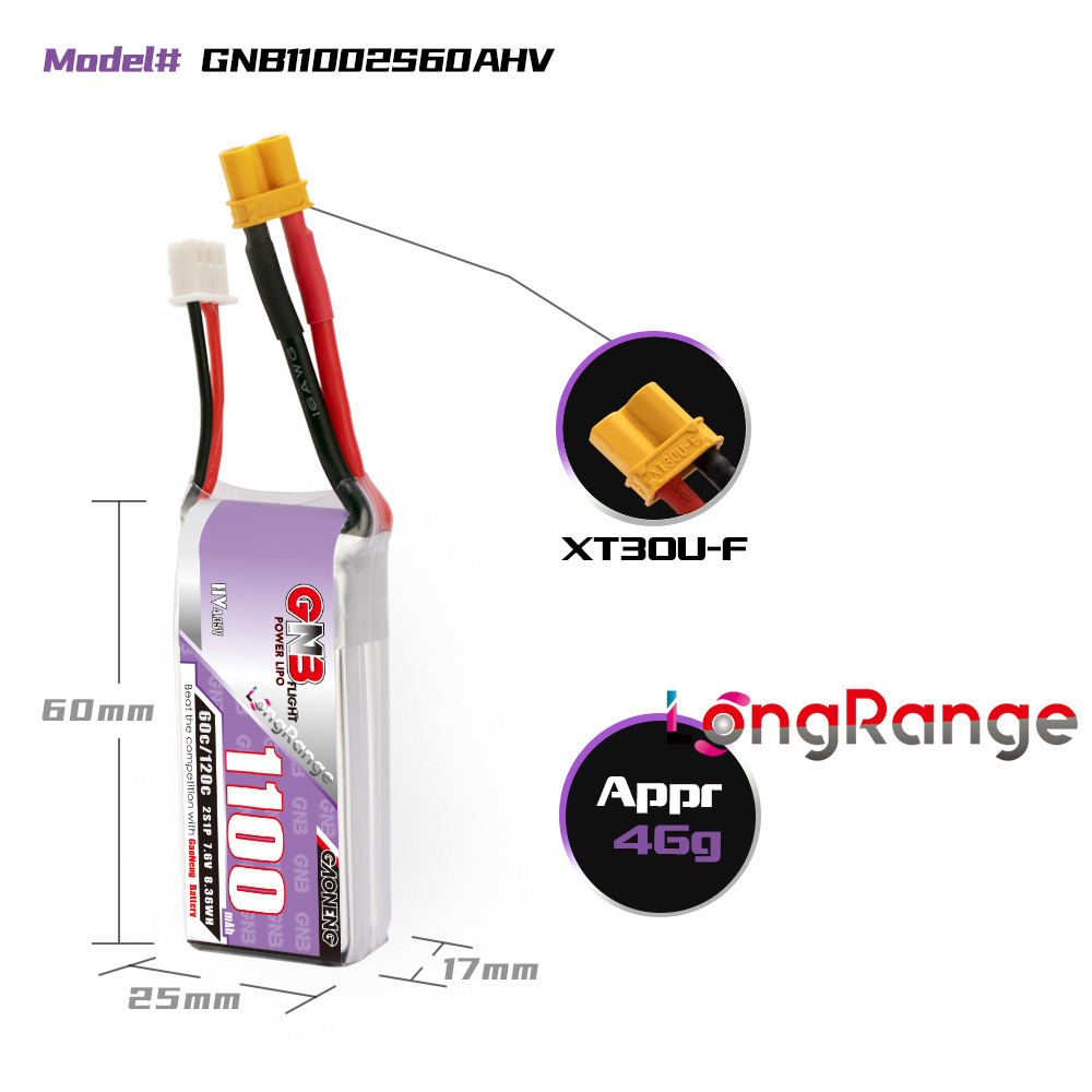 GNB 1100mAh 2S 3S 4S 6S 60C/12 - Lipo Battery 6S recensione e prezzo